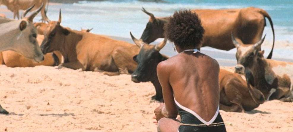 Cinema Nacional em Destaque: 'O Riso e a Faca' Brilha em Cannes com Elenco Global