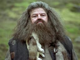 Harry Potter | Nick Frost pode ser o novo Hagrid na série da HBO