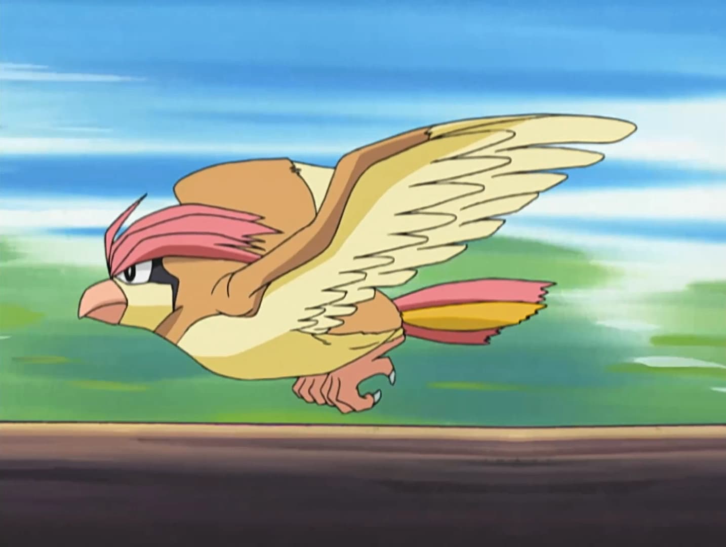 Fã de Pokémon Conquista Prêmio com Incrível Animatrônico de Pidgeotto
