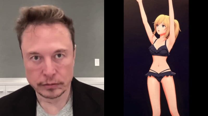 Elon Musk Vira Alvo de Piadas dos Próprios Fãs