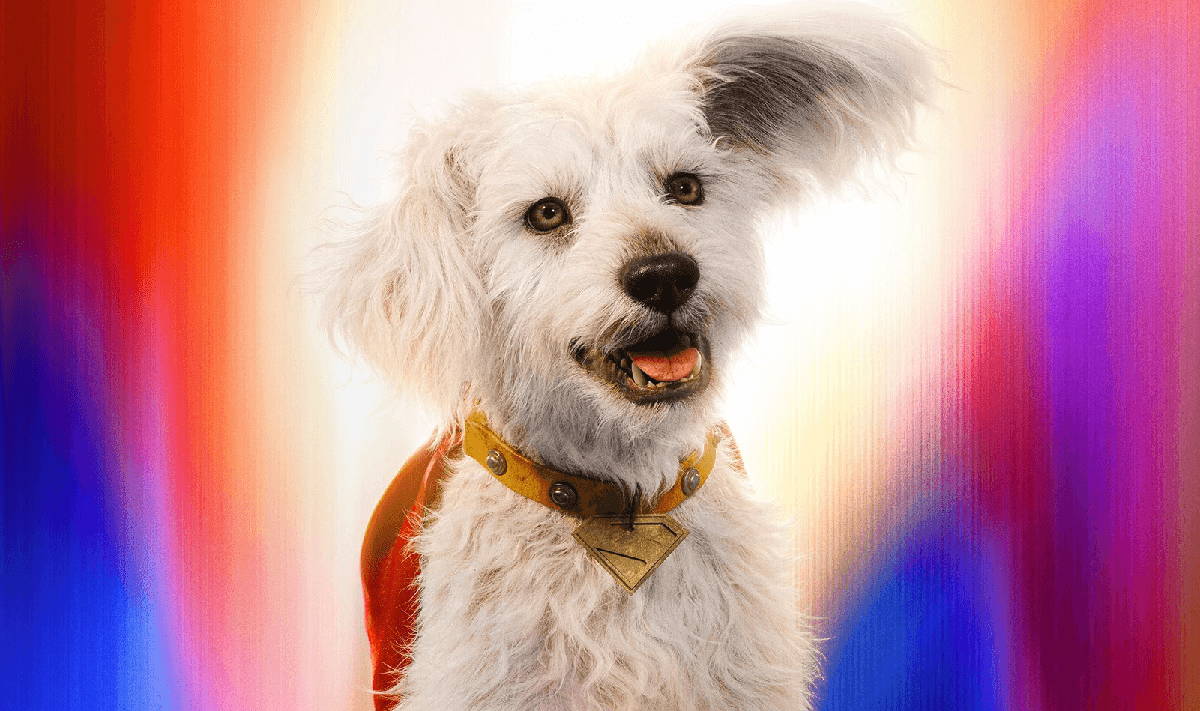 Krypto, o Supercão de Superman, em Breve no Fortnite: O Que Esperar?
