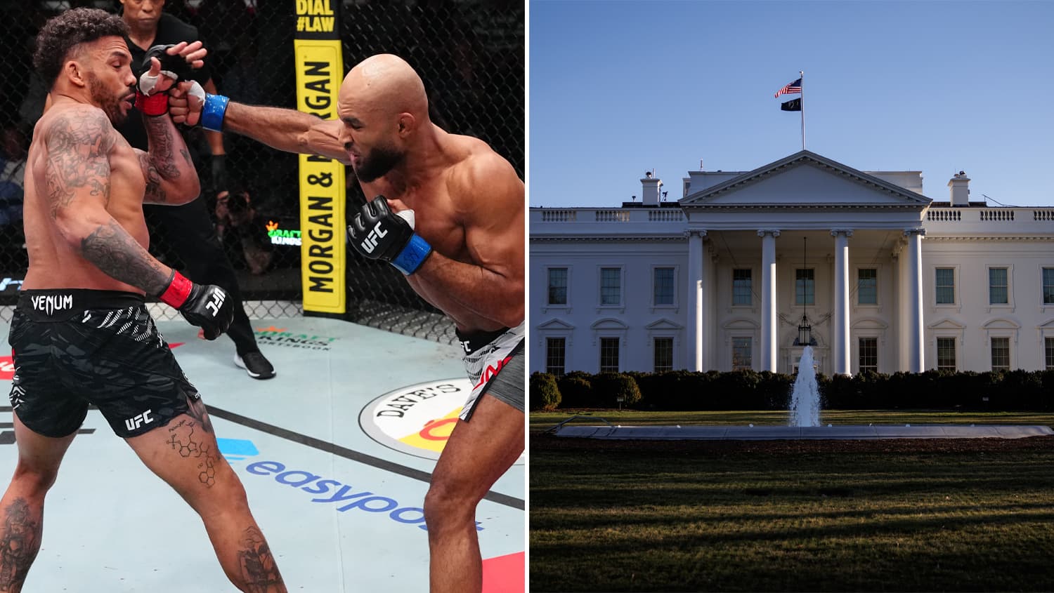 UFC Fará História com Luta no Jardim da Casa Branca no Próximo 4 de Julho
