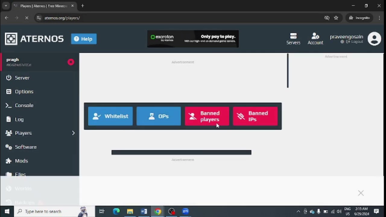 Configuração de whitelist no painel da Aternos