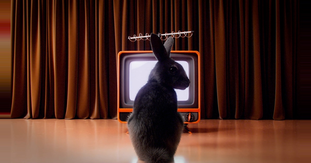 Produtor de 'Lone Wolf' Deixa Rabbits Black em Meio a Dificuldades de Financiamento