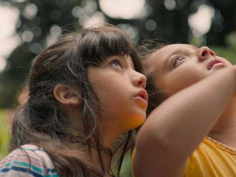 A Natureza das Coisas Invisíveis: Sensibilidade e Emoção na Estreia de Rafaela Camelo