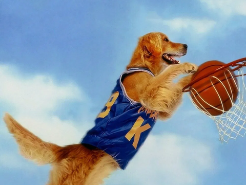 Air Bud Returns: Novo Filme do Cachorro Atleta Chega em 2026