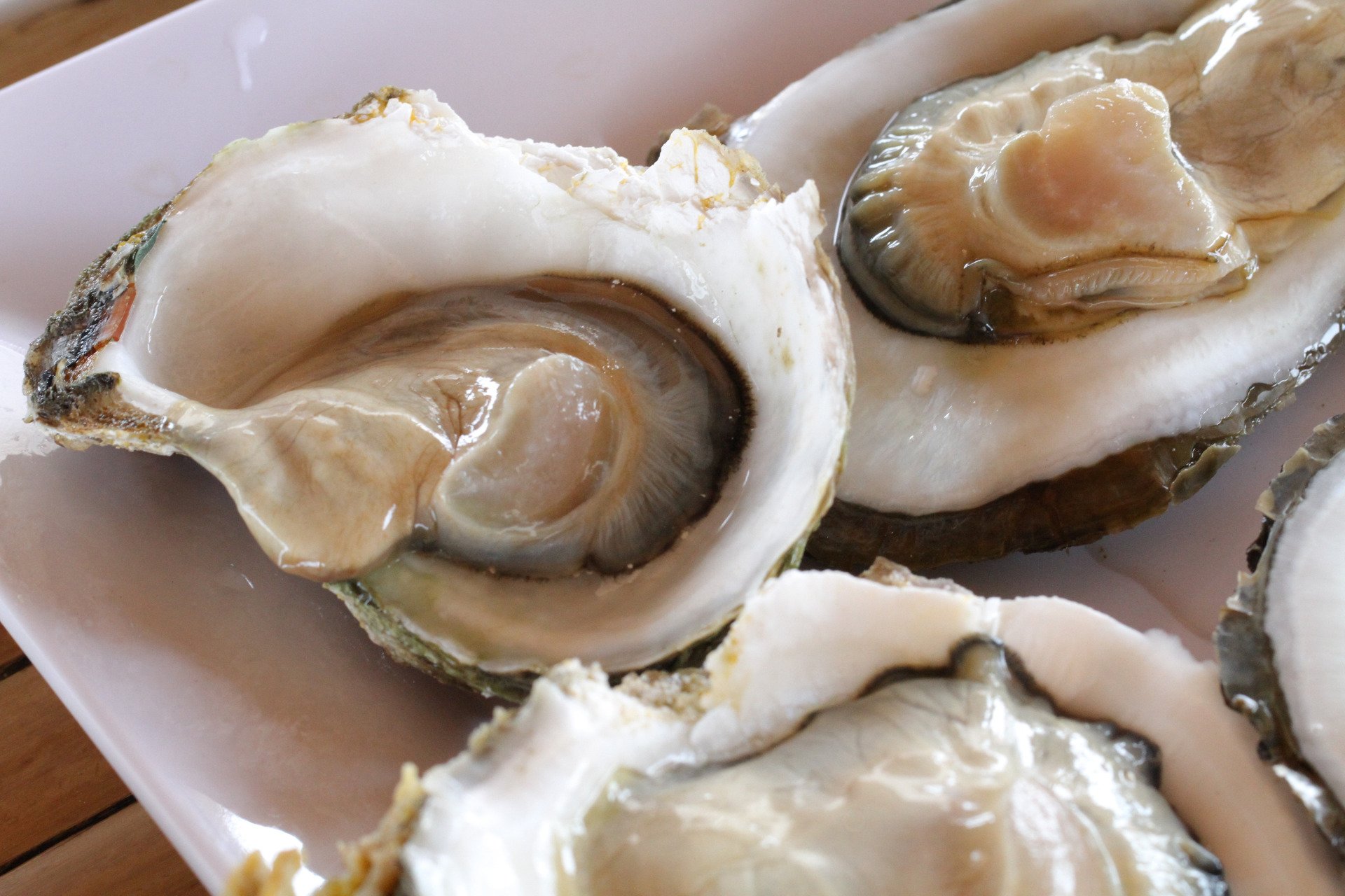 Bactérias Vibrio em Ostras da Louisiana Causam Mortes: O Que Você Precisa Saber