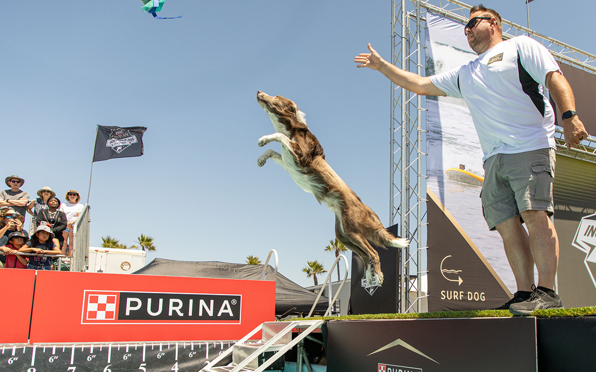 Série Documental 'Uma Raça Diferente' Explora o Mundo dos Esportes Caninos no Prime Video