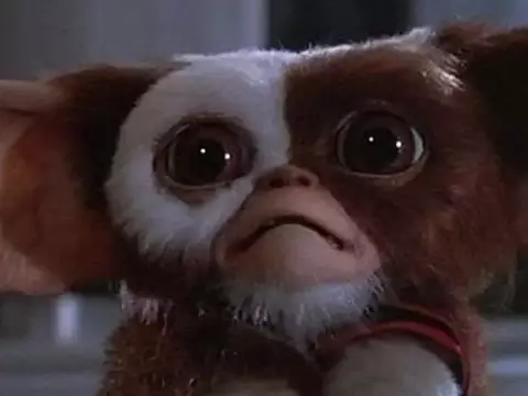 Chris Columbus Retorna para Dirigir e Escrever 'Gremlins 3'