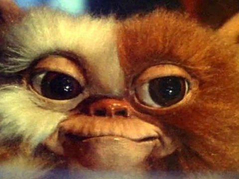 Novo Gremlins: Filme Aguarda Sinal Verde de Steven Spielberg