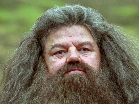 Primeira Imagem de Hagrid na Série de Harry Potter da HBO Max Revelada