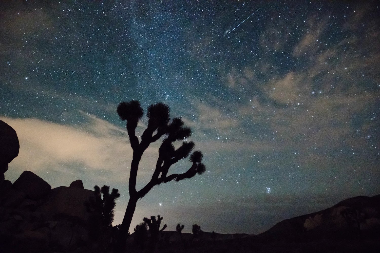 Como Assistir à Espetacular Chuva de Meteoros Perseidas Este Ano