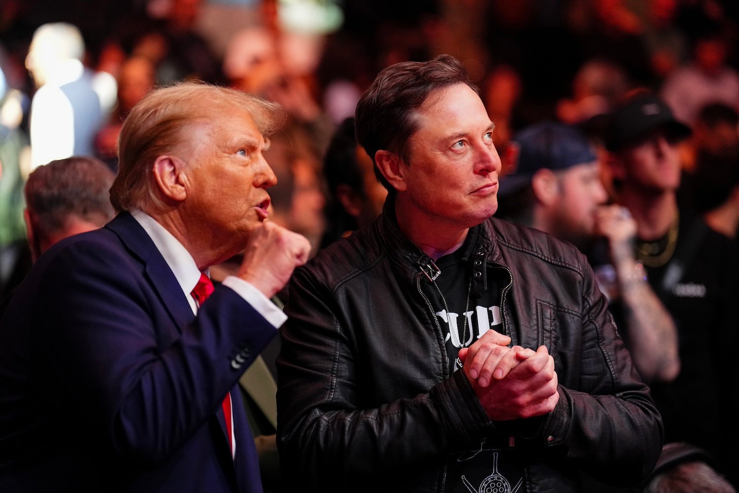 Donald Trump Busca Reconciliação com Elon Musk: Interesse em Parceria Econômica
