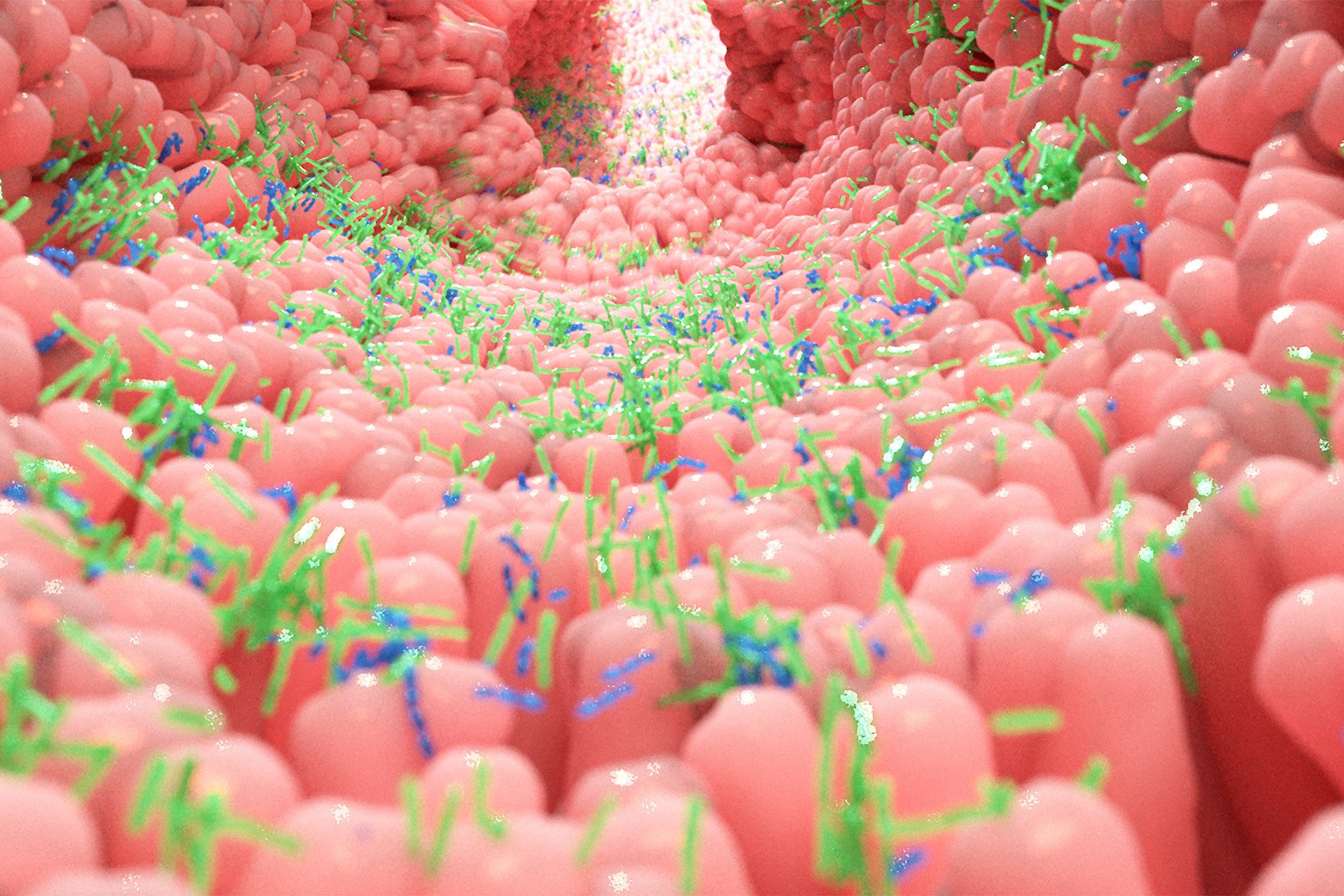 Descoberta de Novo Mecanismo Intestinal Pode Revolucionar Percepção de Fome e Saúde