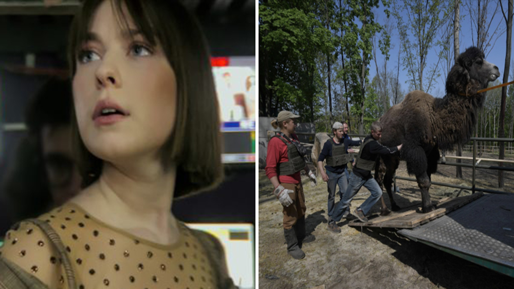 Documentários Impactantes Revelam Realidades Crueis na Rússia e na Ucrânia com Apoio de Leonardo DiCaprio