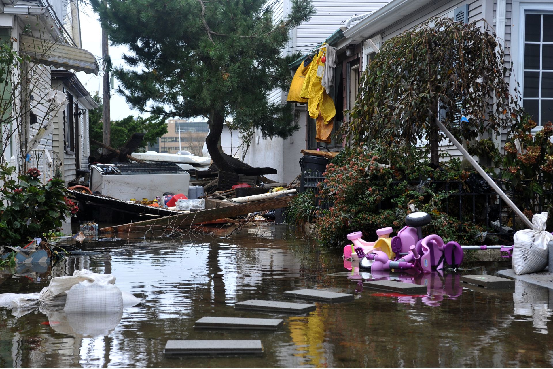 Estudo Revela Impacto Oculto de Mortes entre Idosos após Furacão Sandy