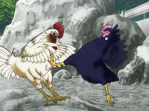 Rooster Fighter: Anime Promete Aventuras Épicas com Galo Protagonista