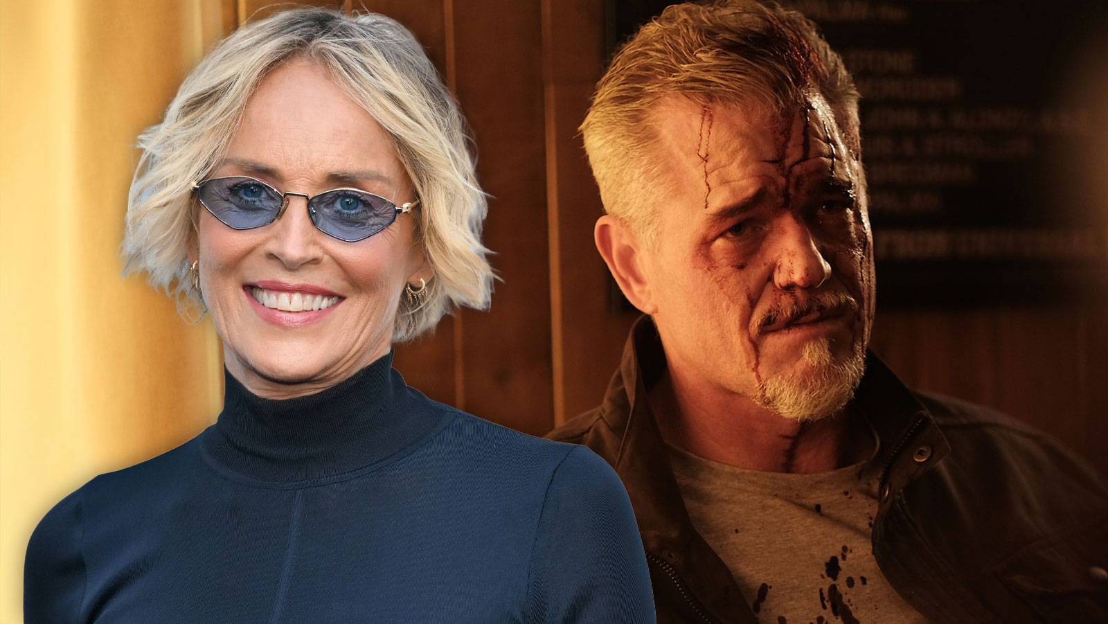 Sharon Stone Fala Sobre Novo Papel em 'Euphoria' e Apoio a Eric Dane no Elenco