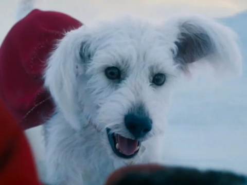Superman e Krypto Estrelam Balde de Pipoca Exclusivo do Cinemark nos EUA
