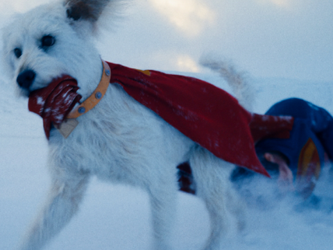 James Gunn Revela Como Seu Cachorro Inspirou Krypto no Novo Filme do Superman