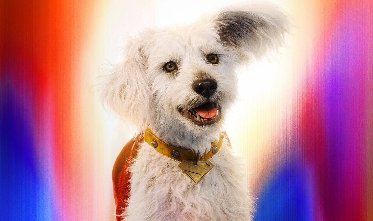 Krypto, o Supercão de Superman, em Breve no Fortnite: O Que Esperar?