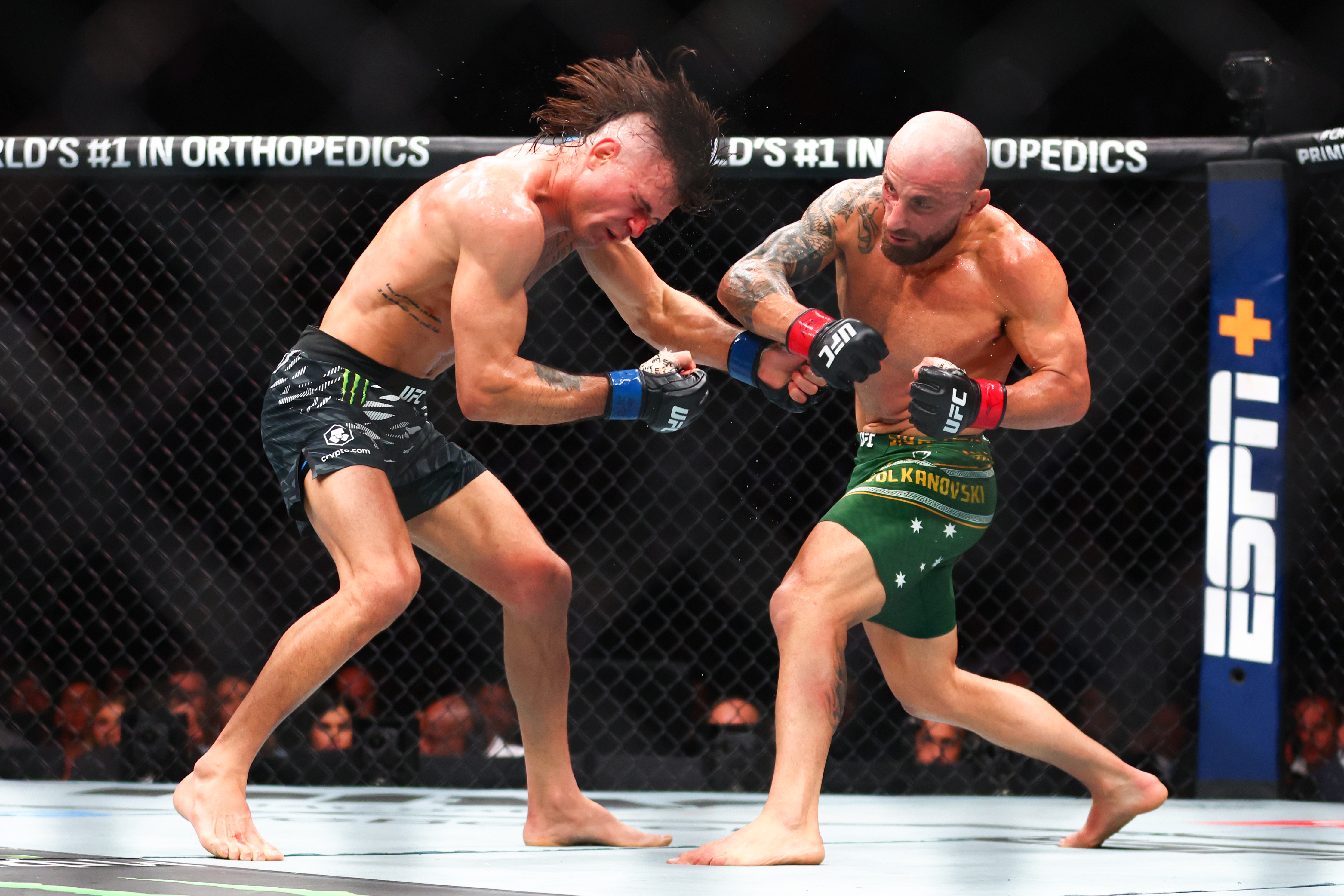 TKO Group Anuncia Resultados Históricos com WWE e UFC no Segundo Trimestre