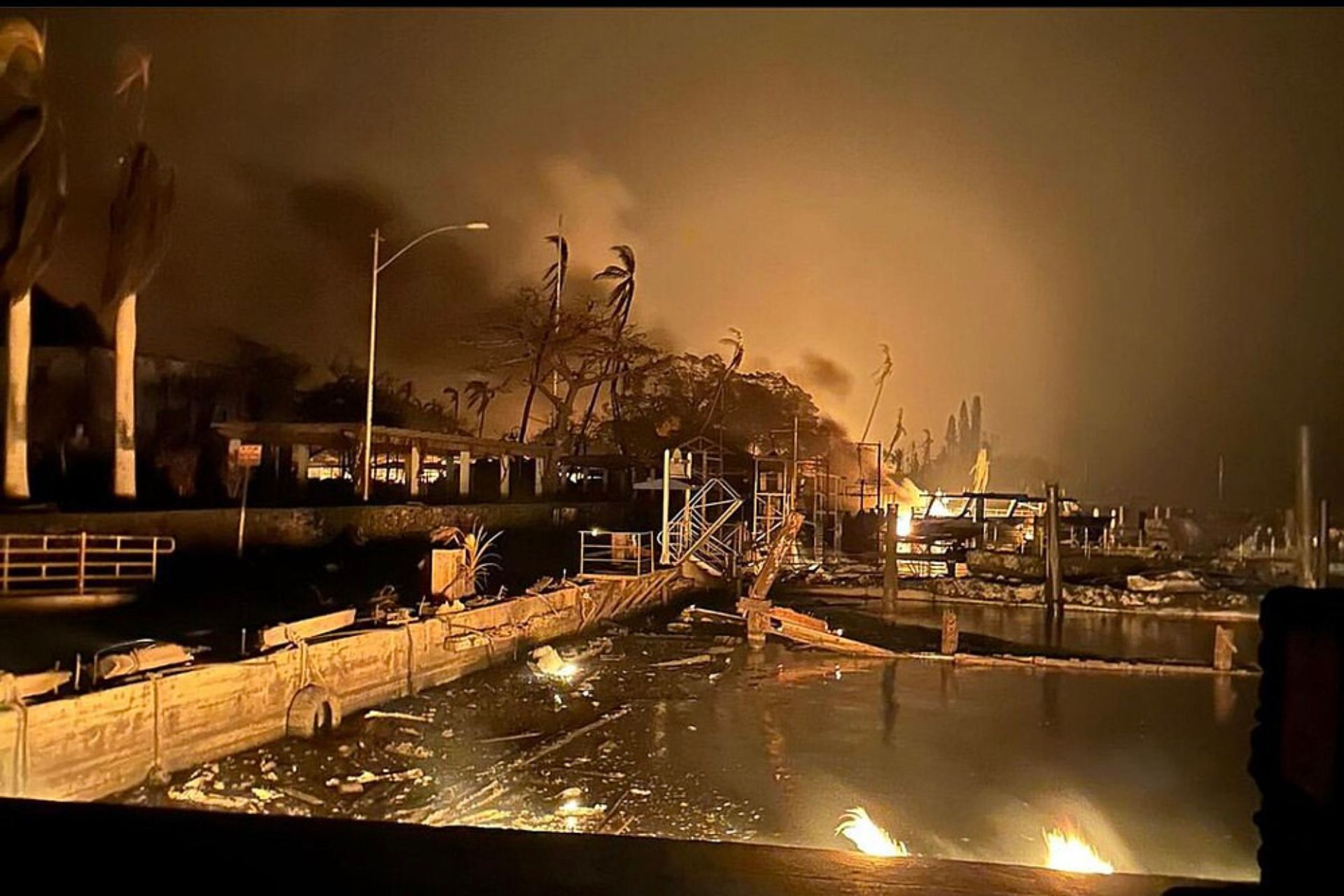 Estudo Revela Impacto Devastador de Incêndios em Maui Dois Anos Depois