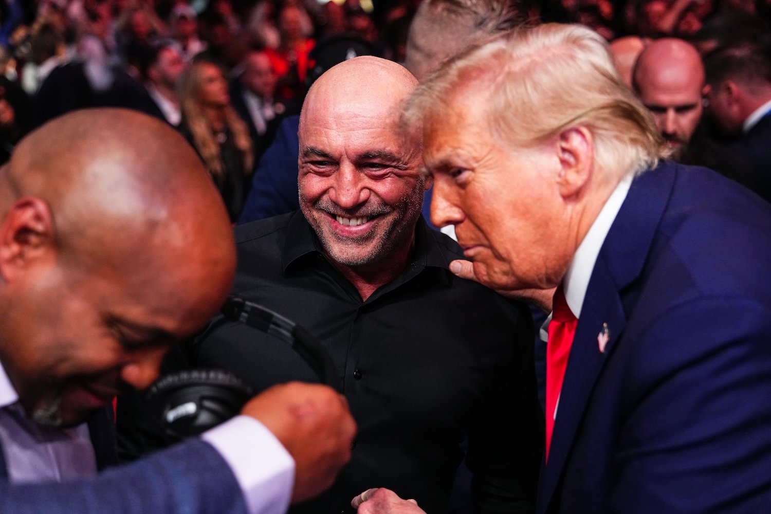 Luta no Cage do UFC na Casa Branca: CEO Dana White Anuncia Planos Surpreendentes